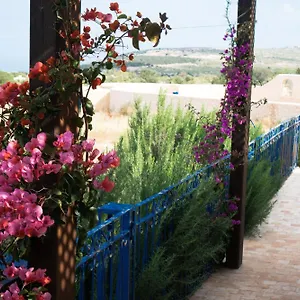 https://villa-habibi.essaouirahotels.net